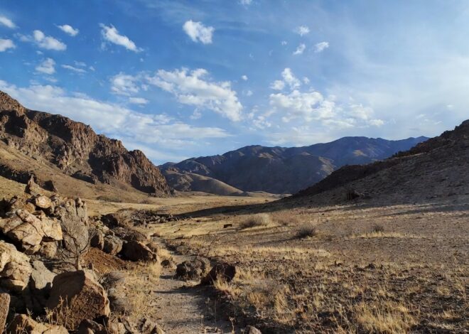 Great is Thy Faithfulness ✝️