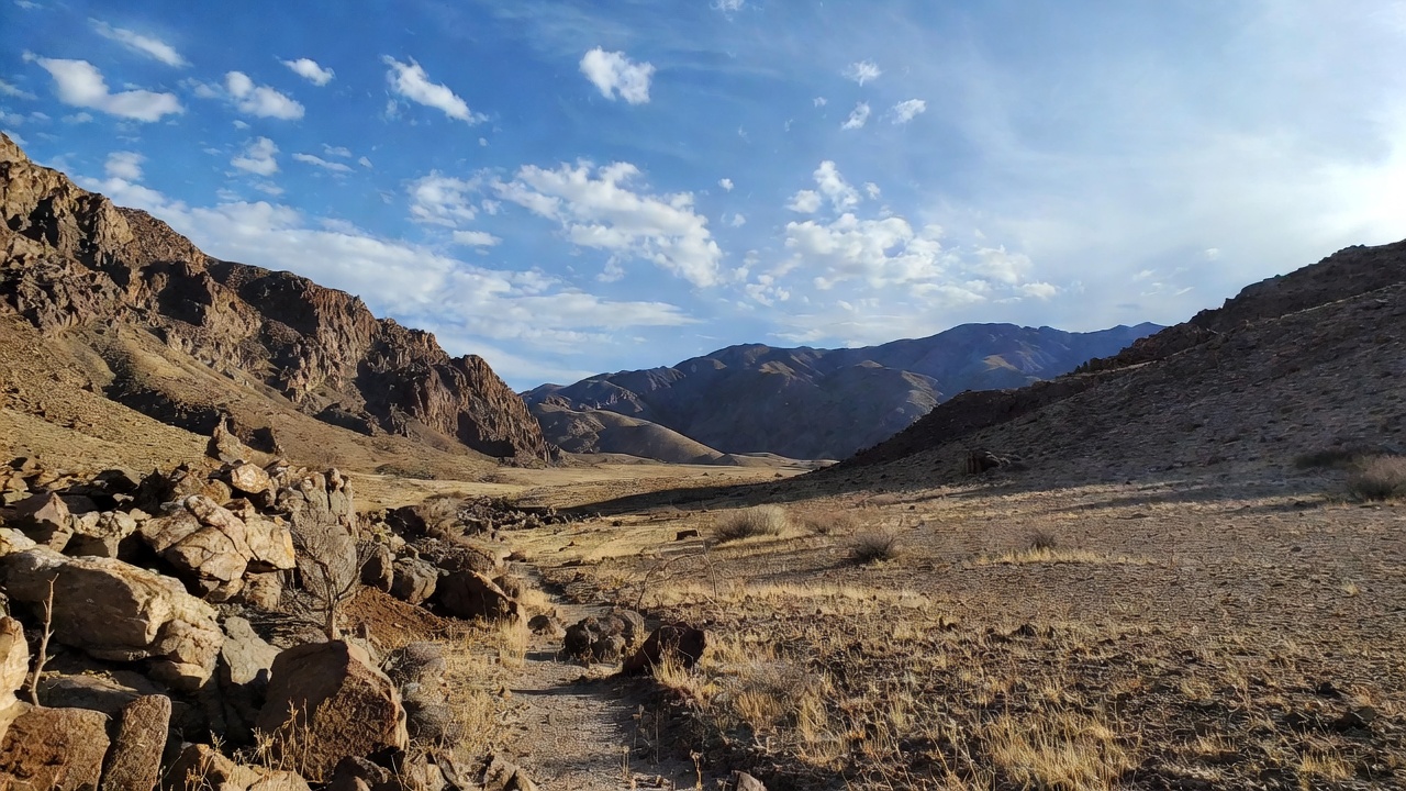 Great is Thy Faithfulness ✝️